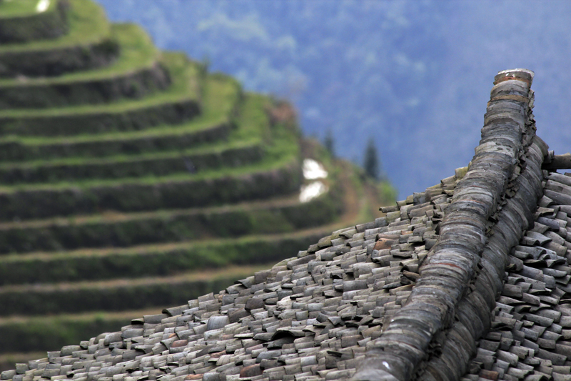 2017-04-12_092002 china-2017.jpg - Longsheng - Pingan - Reisterassen